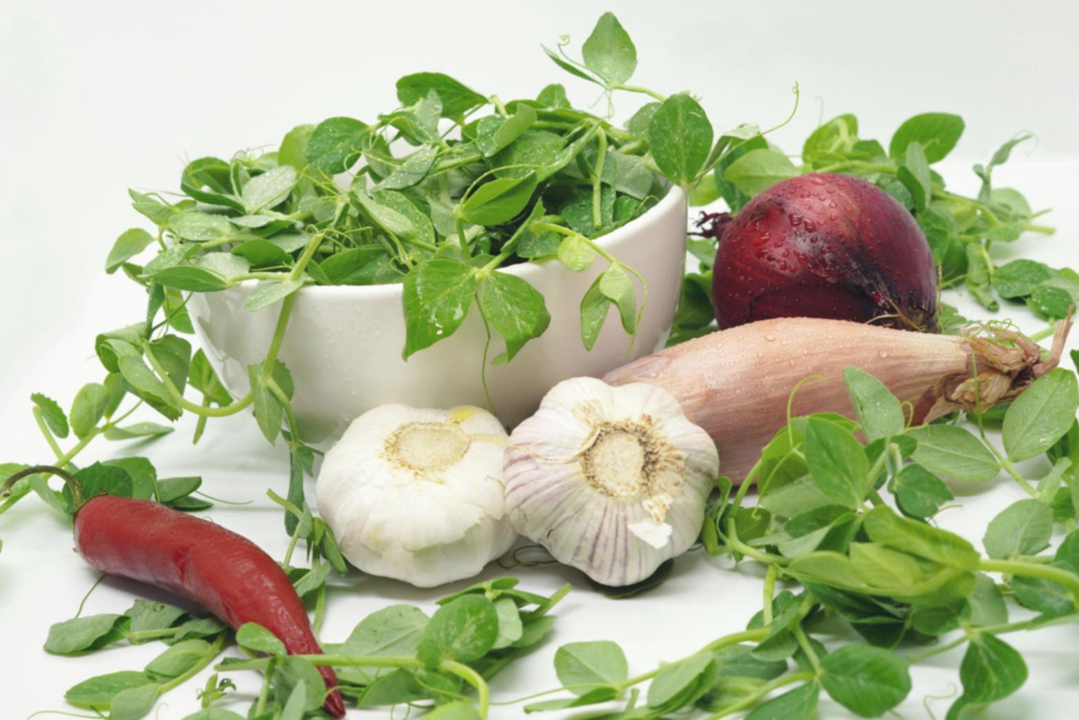 Quality control check of packaged meals before distribution